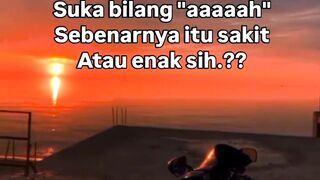BOSPLAY GACOR 25