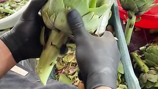 Summer Garden Harvest