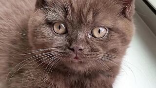 An adventure that ended in  I forgive this injustice