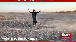شال الله زردارريء جون پاڙون پٽي