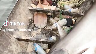 এইট ক মছ? vairal vairalvideotiktok