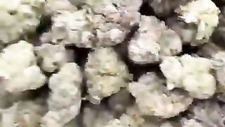 Sure and reliable wd , edibles coke and 420 plug on telegram at VIPEssentials420 in Civita di Bagnoregio