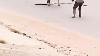 Fun Video 11