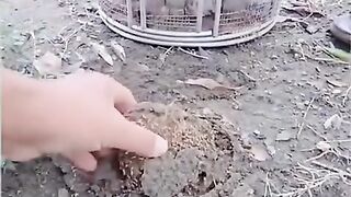 Fun Video 12