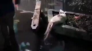 Viral Video 17