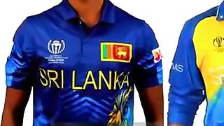 Cricket news 12