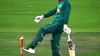 Cricket news 16