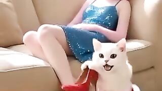 Animated video 8