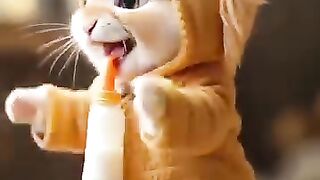 Animated video 34