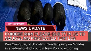 Chinese Man Pleads Guilty in US to Smuggling Prote