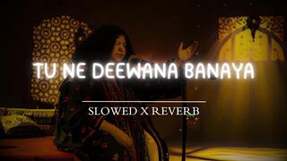 Tu Ne Deewana Banaya  Abida Perveen  Sufi Music