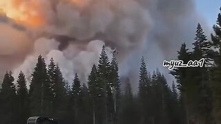 this is video emissions