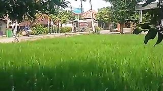 Selamat Siang Dunia.