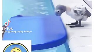 Pani thanda h