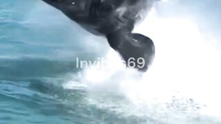Unseen Animal Moments You Must See!