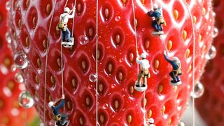 Today we are working on strawberries.