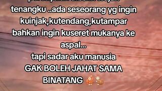 Situs gacor anti pelit witdhdraw