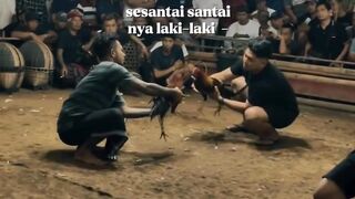 DAFTAR BOSPLAY AGEN TARUHAN TERBESAR SABUNG AYAM ONLINE AMAN DAN TERPERCAYA 5
