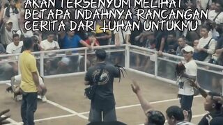 DAFTAR BOSPLAY AGEN TARUHAN TERBESAR SABUNG AYAM ONLINE AMAN DAN TERPERCAYA 17