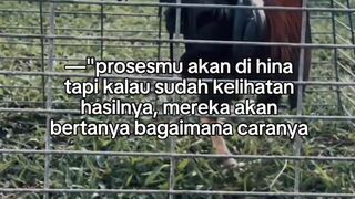 DAFTAR BOSPLAY AGEN TARUHAN TERBESAR SABUNG AYAM ONLINE AMAN DAN TERPERCAYA 21
