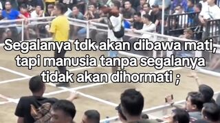 DAFTAR BOSPLAY AGEN TARUHAN TERBESAR SABUNG AYAM ONLINE AMAN DAN TERPERCAYA 23