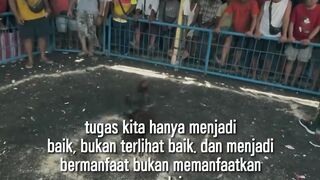 DAFTAR BOSPLAY AGEN TARUHAN TERBESAR SABUNG AYAM ONLINE AMAN DAN TERPERCAYA 24