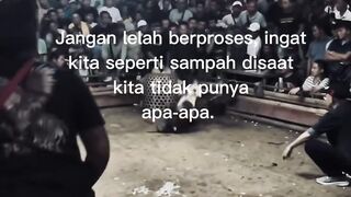 DAFTAR BOSPLAY AGEN TARUHAN TERBESAR SABUNG AYAM ONLINE AMAN DAN TERPERCAYA 29