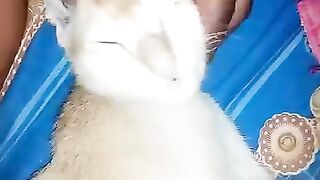 When my cat sleeps