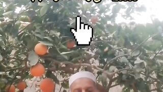 مجلس الشباب العالمي 2