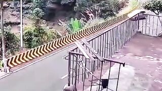Fun Video 18
