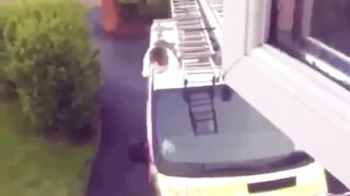 Прикольные видео из жизни кошек