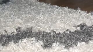 Funny Cat - Best Of The 2021 Funny Cat Videos - TRY NOT TO LAUGH!