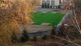 искусственный газон