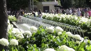 Танцы странных людей в парке