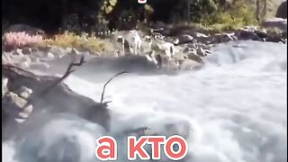 А кто твой друг?