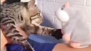 Не мороси!)