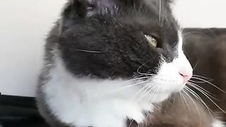 Ну вот и поговорили )