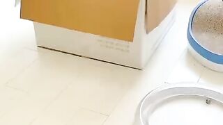 Cute Kittens - Best Of The 2021 Funny Cat Videos - TRY NOT TO LAUGH!