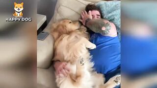 ПРИКОЛЫ С ЖИВОТНЫМИ 