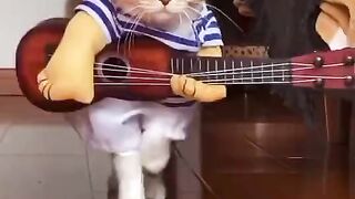 Funny Cat - Best Of The 2021 Funny Cat Videos - TRY NOT TO LAUGH!