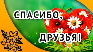 Спасибо, друзья!  Автор Ирина Ксон. Стихи о жизни.