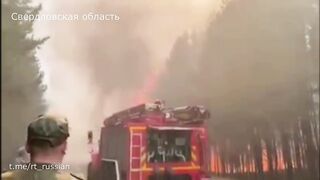 Лесные пожары выжигают