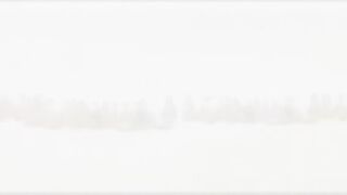 The Beloved - Sweet garmony