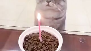 С днюшкой!)