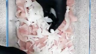 Вкусная запеканка