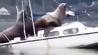 Ух ты! Мы вышли из бухты!
