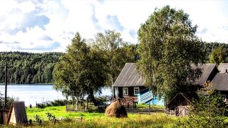 Парень спас маленького волчонка из капкана, но спустя годы, этот волк