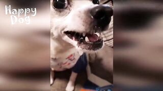 FUN WITH ANIMALS 