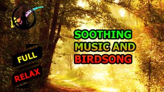 Soothing music and birdsong. [HD]