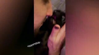 СМЕШНЫЕ КОШКИ 2021 И ДРУГИЕ ЖИВОТНЫЕ/ 10 МИНУТ СМЕХА